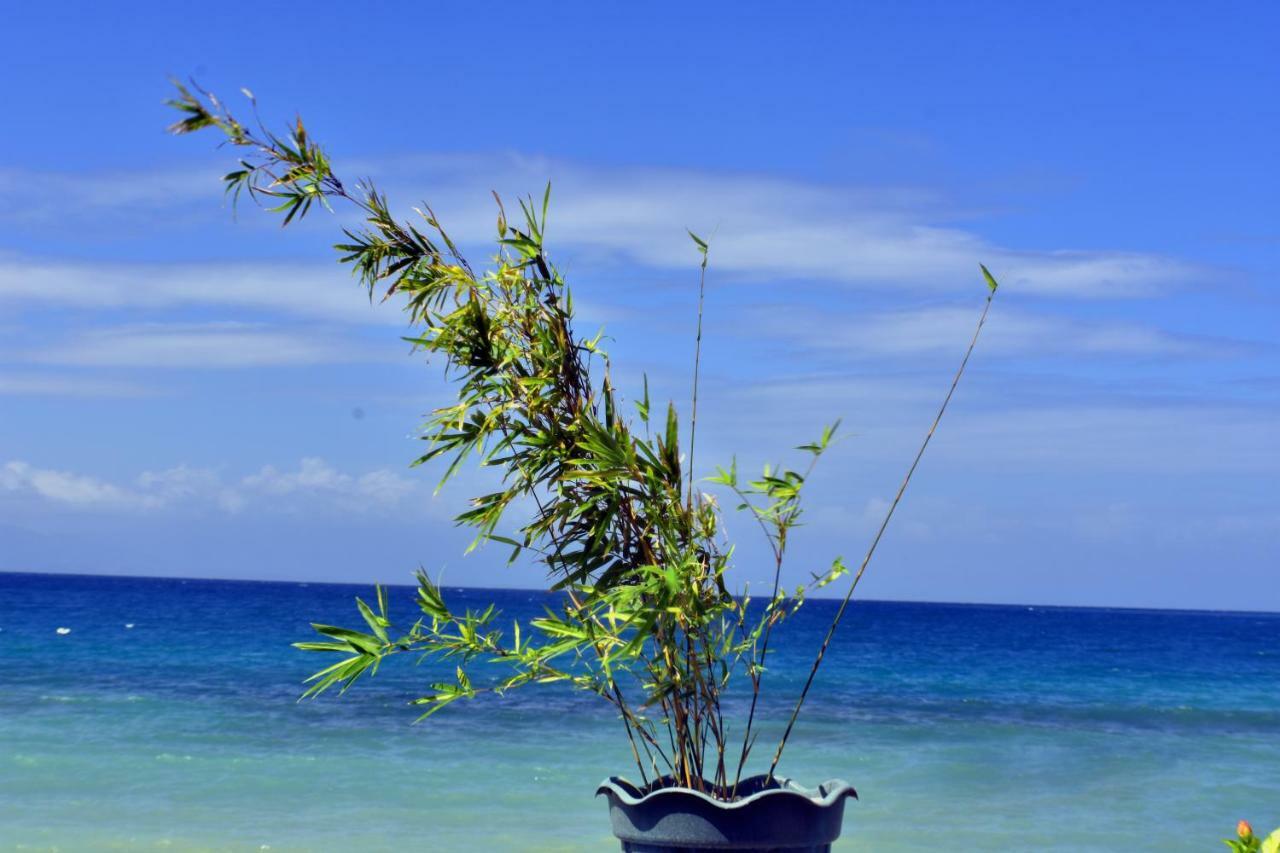 Mlk Bamboo Beachhouse Alegria  Buitenkant foto